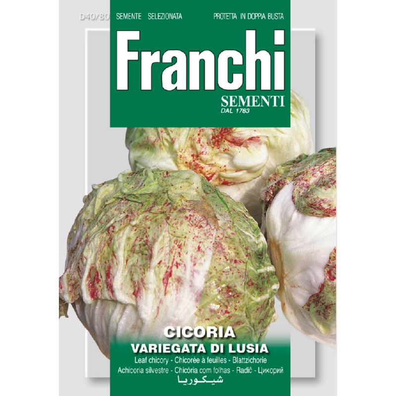 Fr Cichory, Cicoria var.di Lusia 40/80