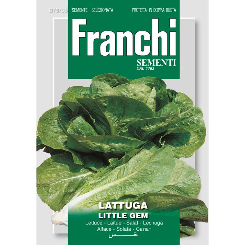 Fr Lettuce, Lattuga little gem 79/38