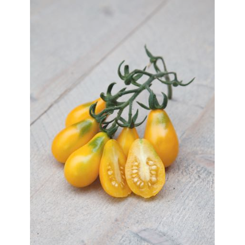 HT Tomaten Yellow Pearshaped