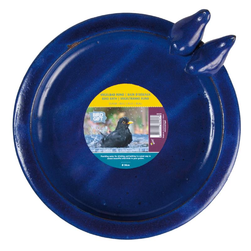 Bird Bath Blue