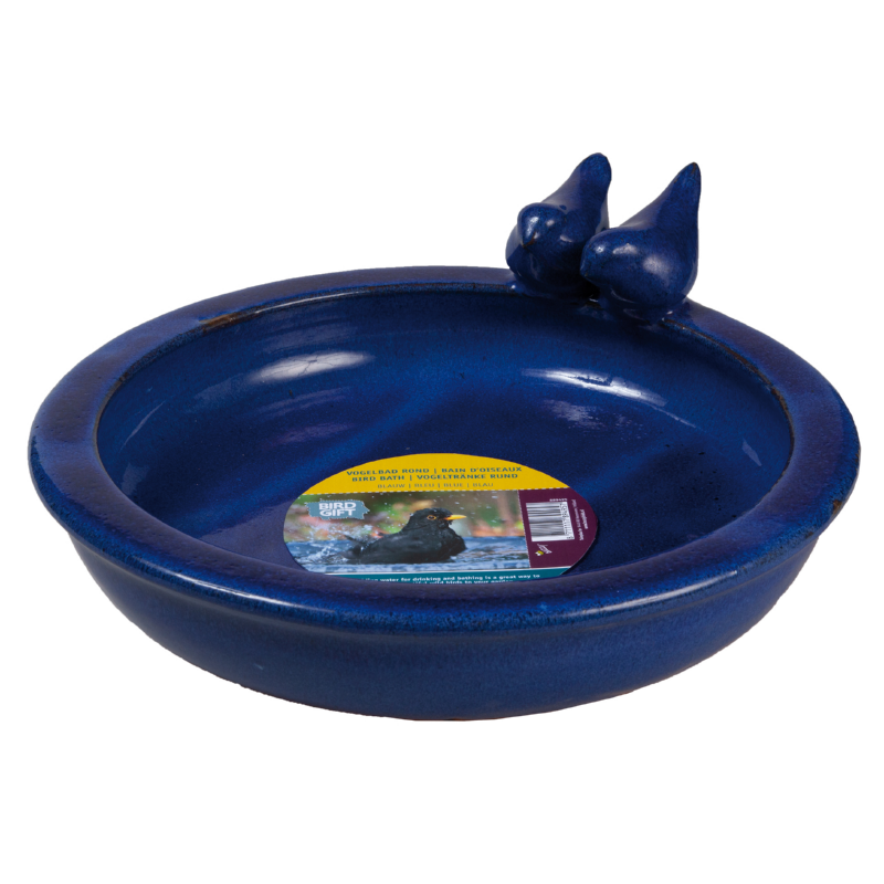 Bird Bath Blue