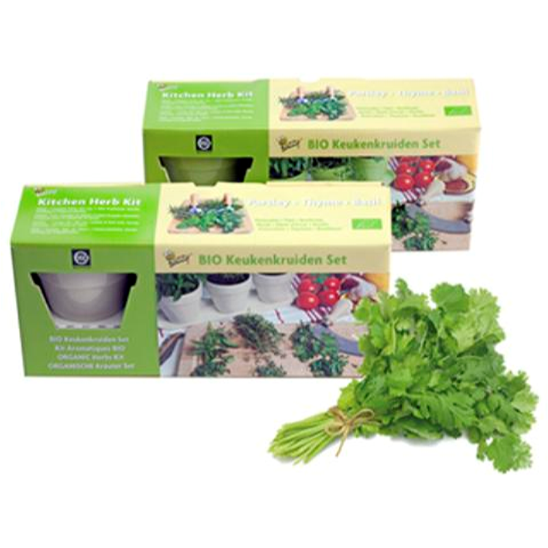 Buzzy® Aromatiques en pots Blanc