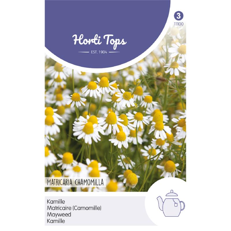 Horti Tops® Mayweed