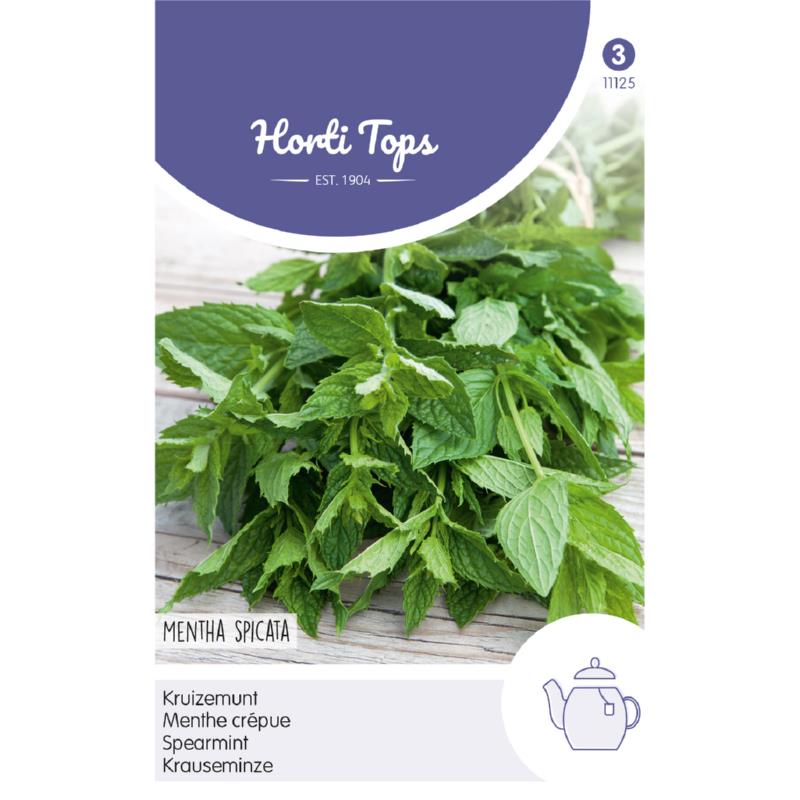Horti Tops® Spearmint