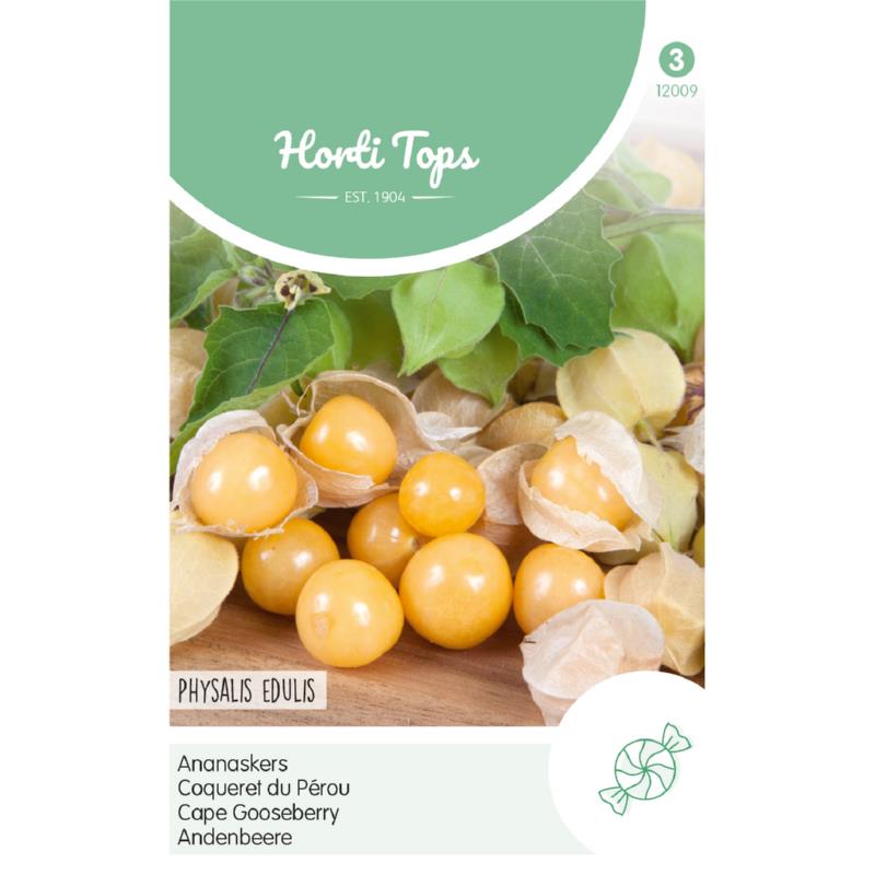 Horti Tops® Cape Gooseberry