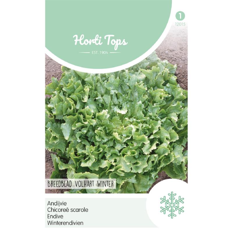 Horti Tops® Endive Avantgarde