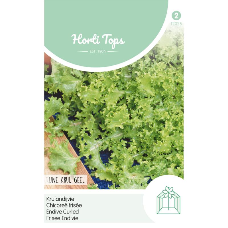 Horti Tops® Endive White Curled