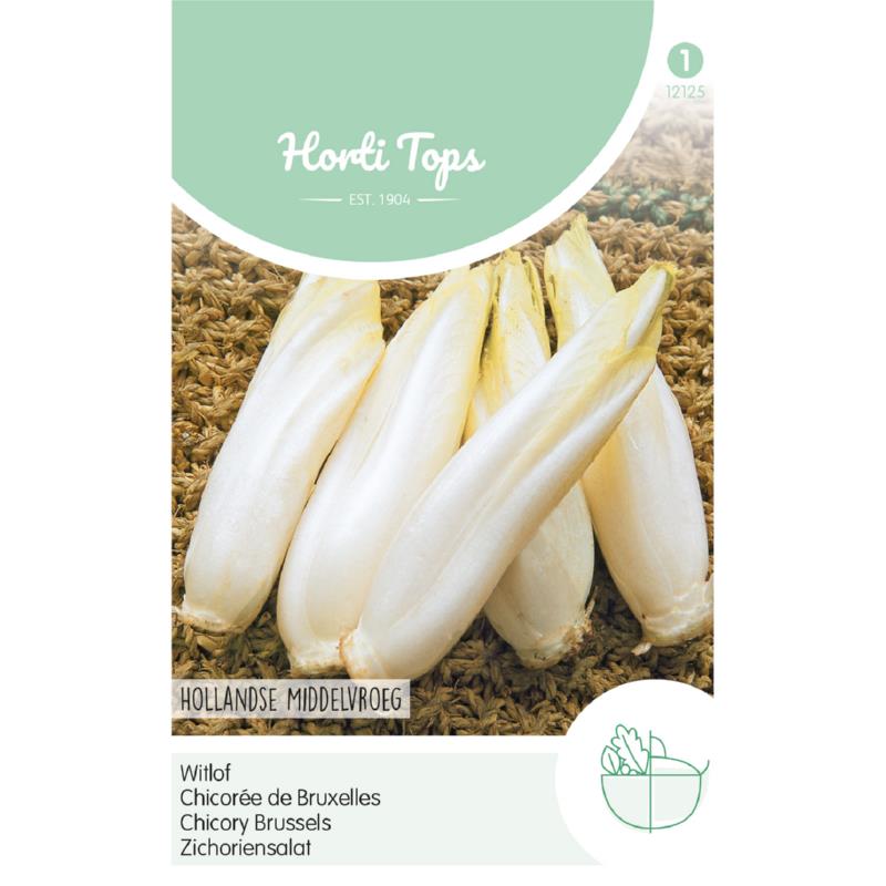 Horti Tops® Chic. Brussels (Witloof) M.Early