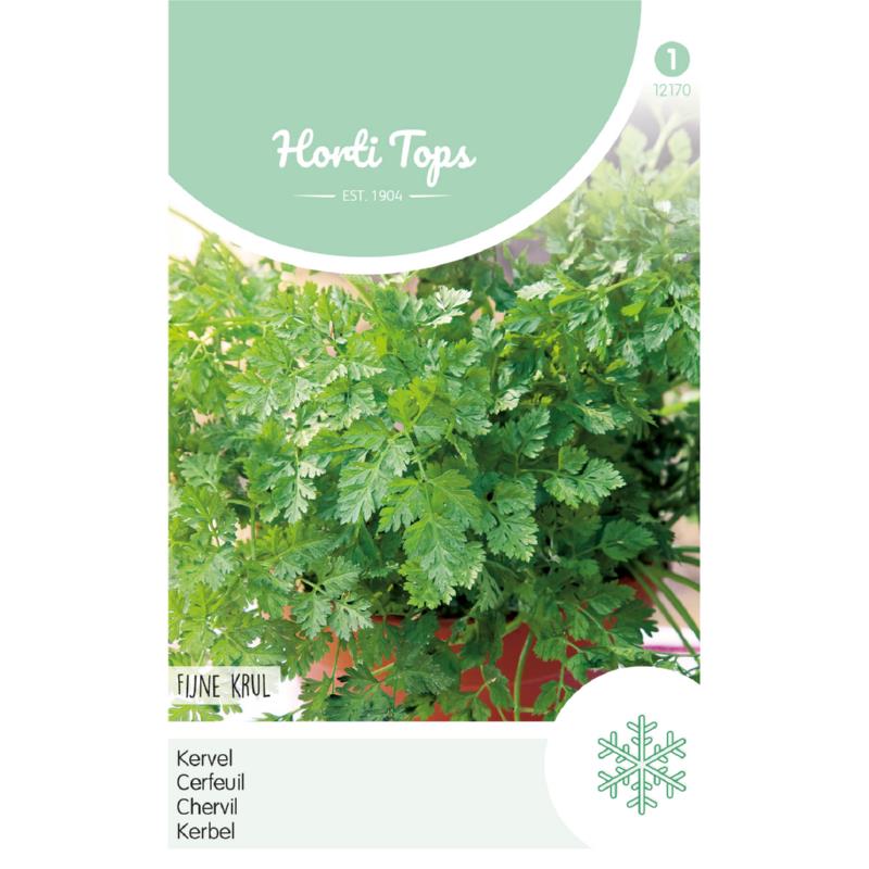 HT Kervel Fijne Krul