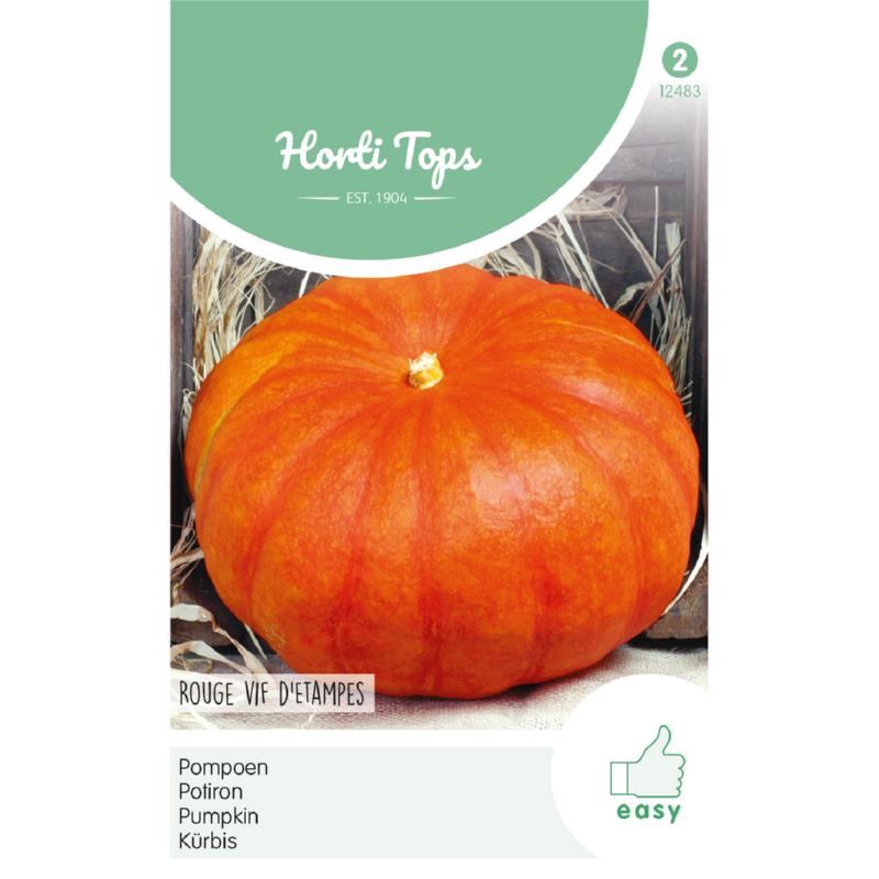 HT Pompoenen Rouge vif d' Etampes