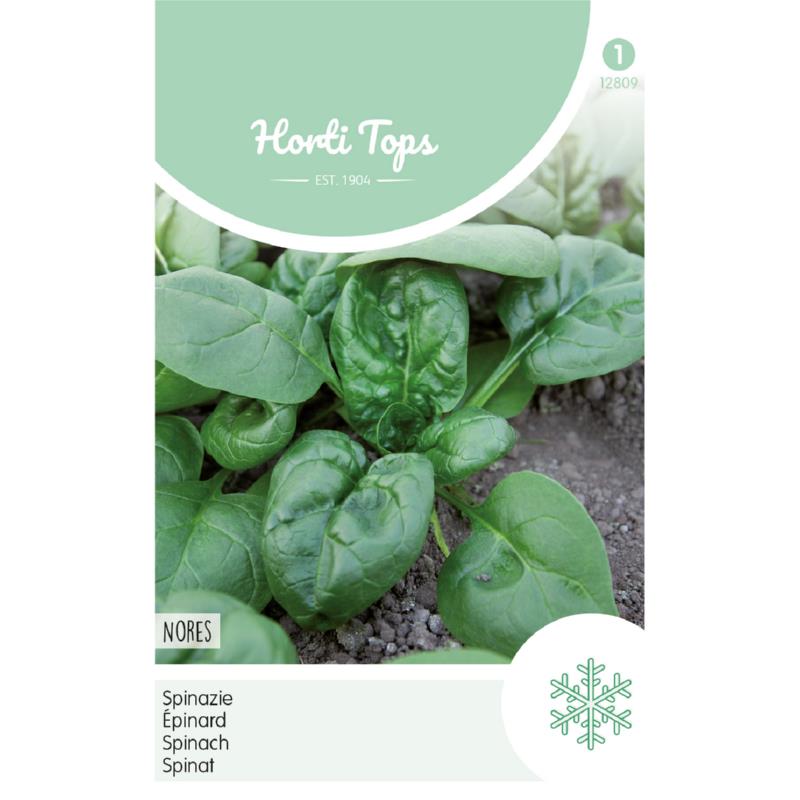 Horti Tops® Spinach Nores-Viking Slow Bolting