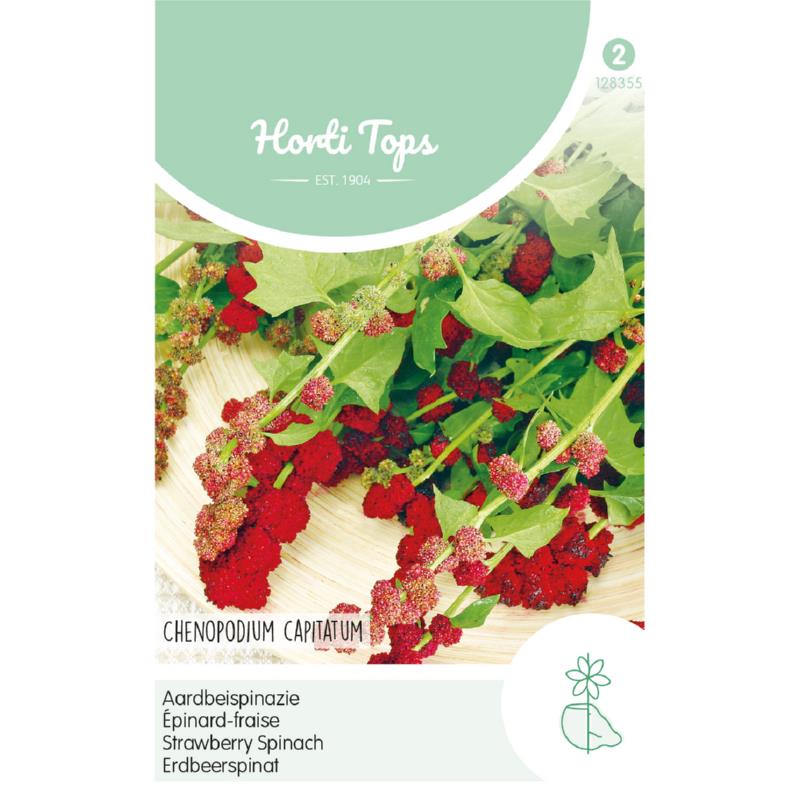 HT Aardbeispinazie
