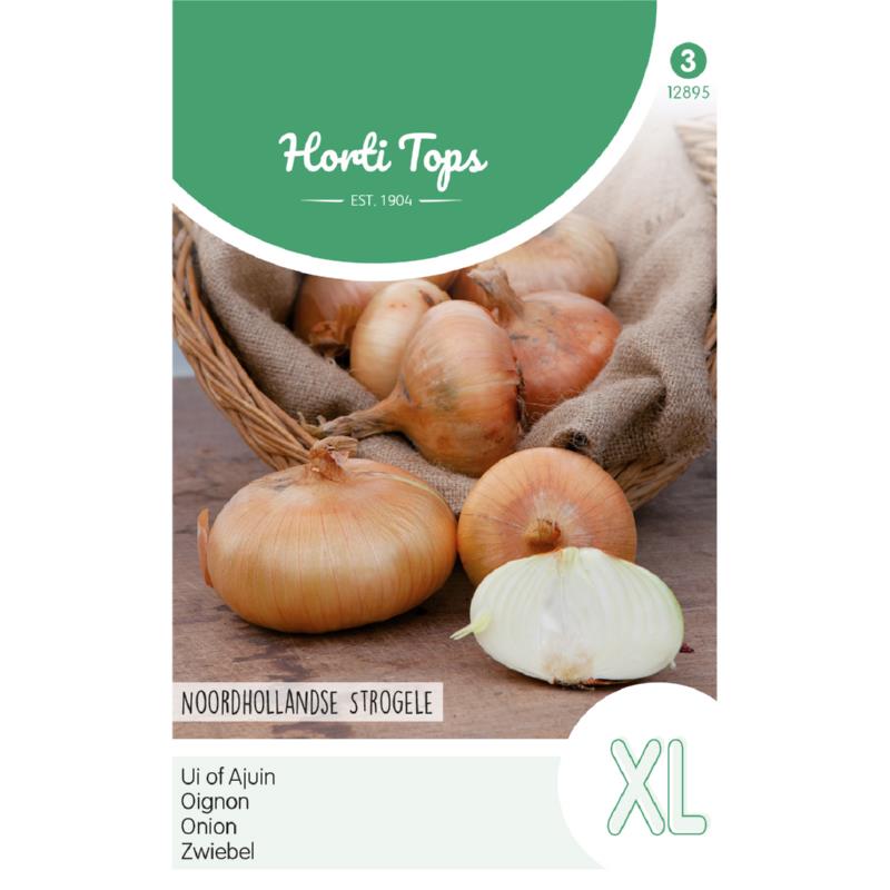 Horti Tops® Onion Yellow Flat Dutch