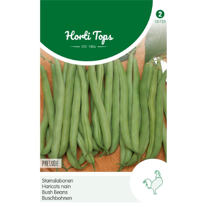 Horti Tops® Busch beans Prelude, 25g