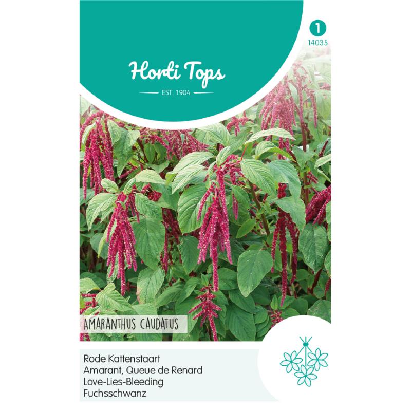 Horti Tops® Amaranthus caudatus / Love-Lies-Bleeding