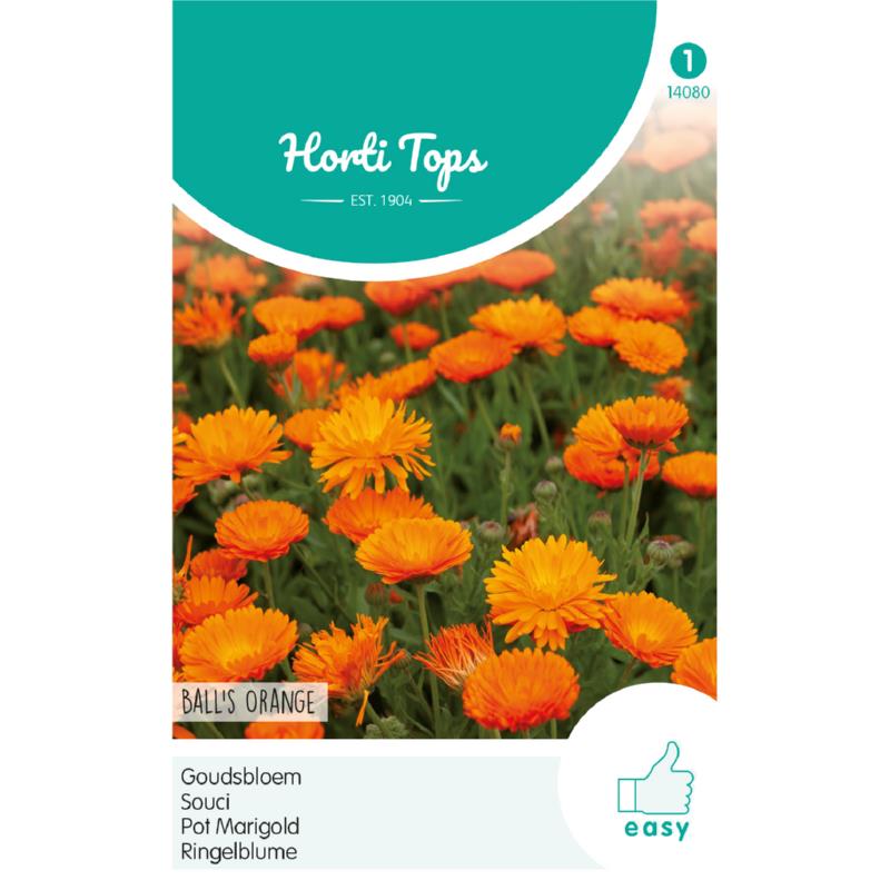 HT Calendula, Goudsbloem Ball's Oranje dubbelbloemig