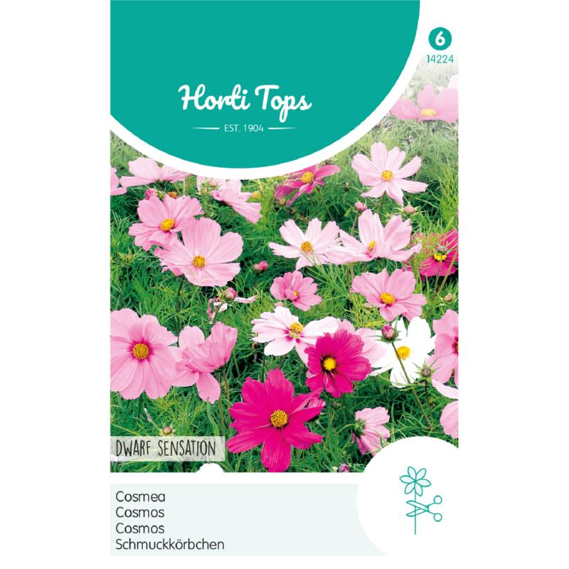 Horti Tops® Cosmos Dwarf sensation mixed