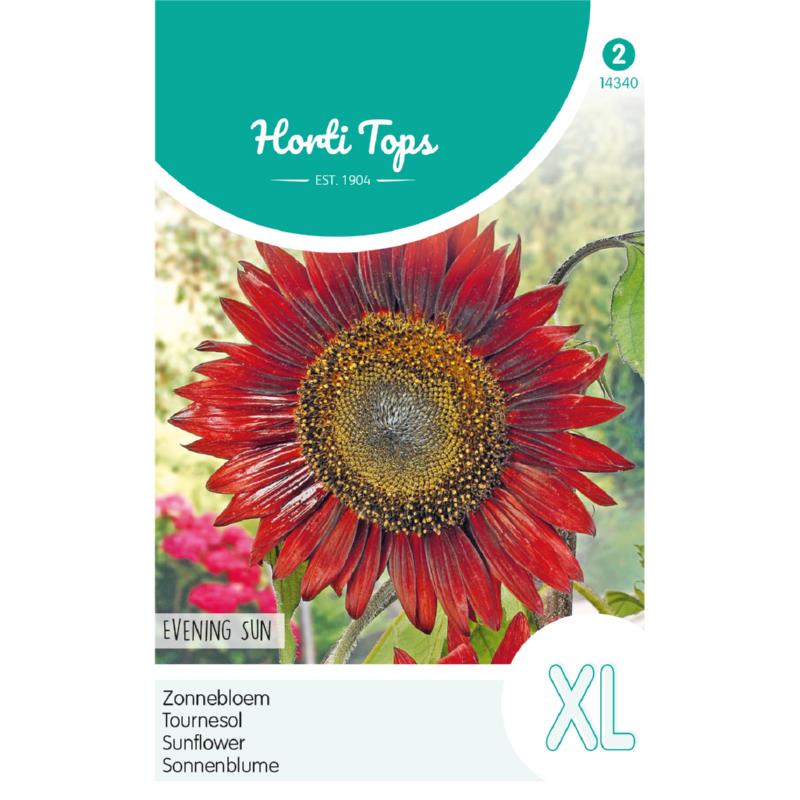 Horti Tops® Sunflower Evening Sun mixed