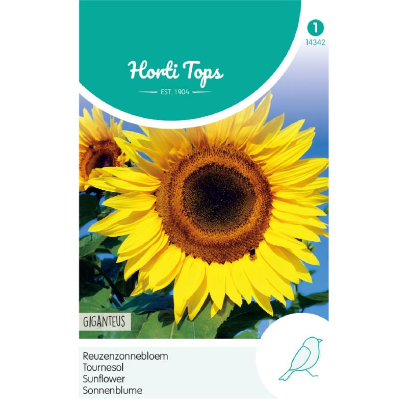 Horti Tops® Sunflower Giganteus