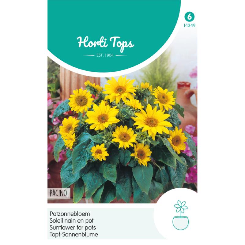 Horti Tops® Sunflower for pots Pacino