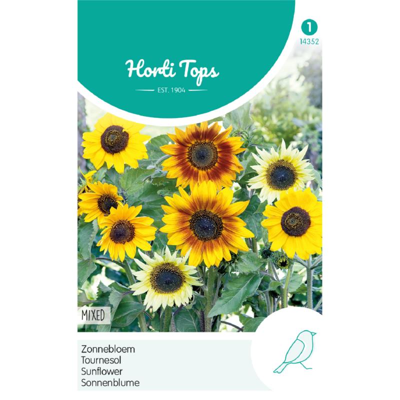 Horti Tops® Helianthus cucumerifolius mixed