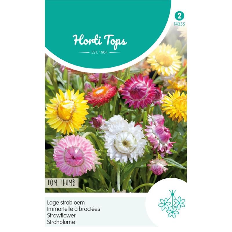 Horti Tops® Helichrysum Bract. Tom Thumb (Laurin) Mixed