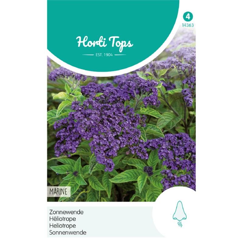 Horti Tops® Heliotropium Arborescens (Peruv.) Marine