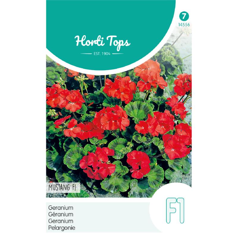 Horti Tops® Pelargonium Zonale F1 Cherry  Red