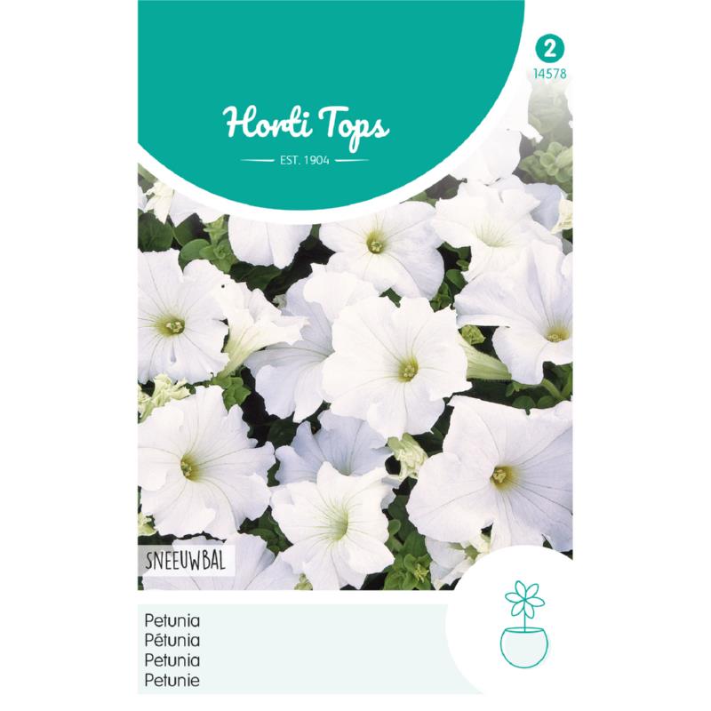 HT Petunia Sneeuwbal