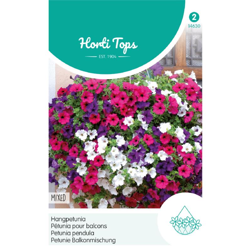 HT Petunia, Hangpetunia gemengd