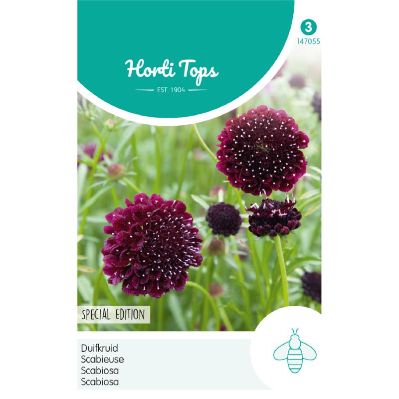 Horti Tops® Scabiosa Deeppurple
