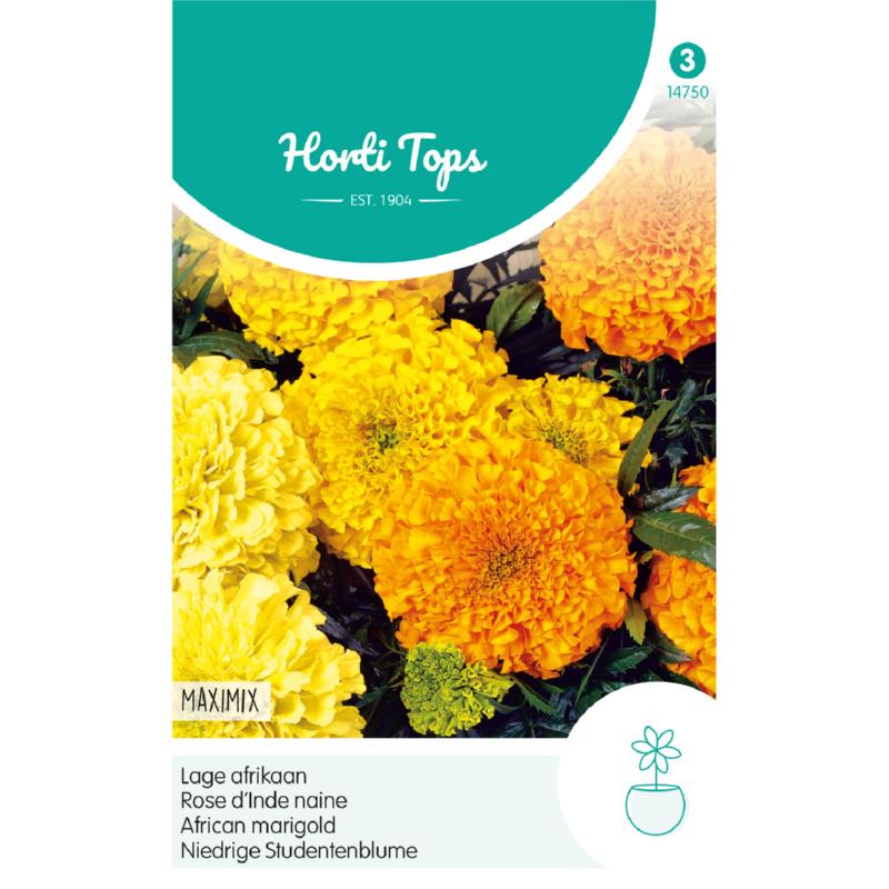 HT Tagetes, lage Afrikaan Maximix