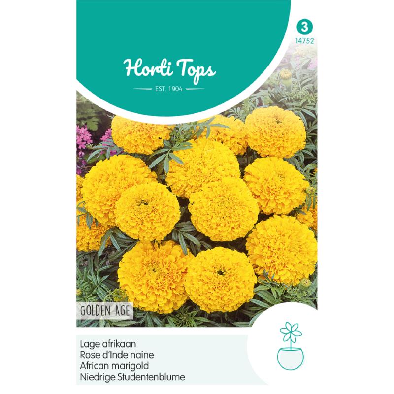 Horti Tops® Tagetes Erecta Dwarf Double Golden Age
