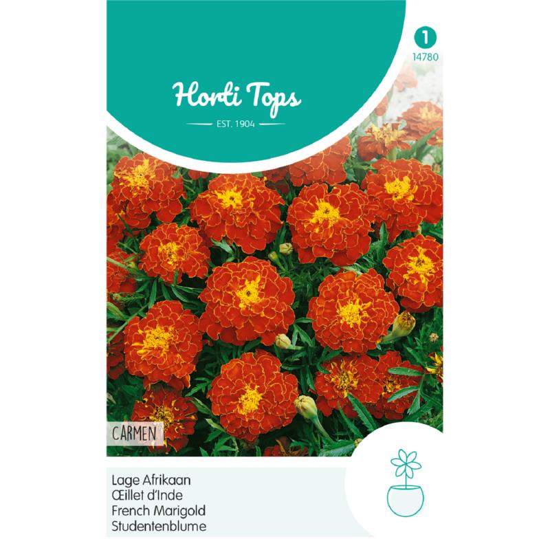 Horti Tops® Tagetes Patula Nana Carmen, Mahogany Red