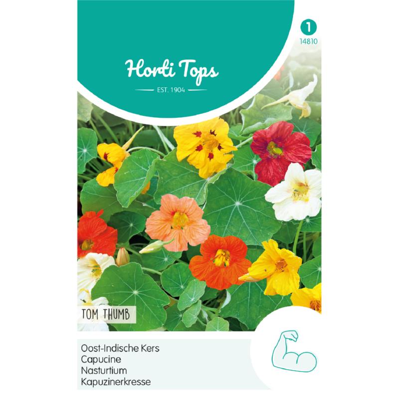 Horti Tops® Tropaeolum Tom Thumb dwarf single mixed