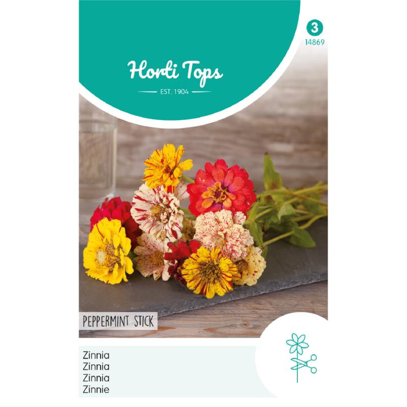 Horti Tops® Zinnia  Peppermint Stick