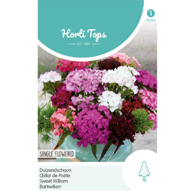 Horti Tops® Dianthus Barbatus Single Mixed