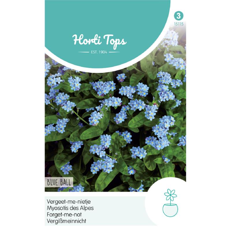 HT Myosotis, Vergeet-me-nietje Blue Ball
