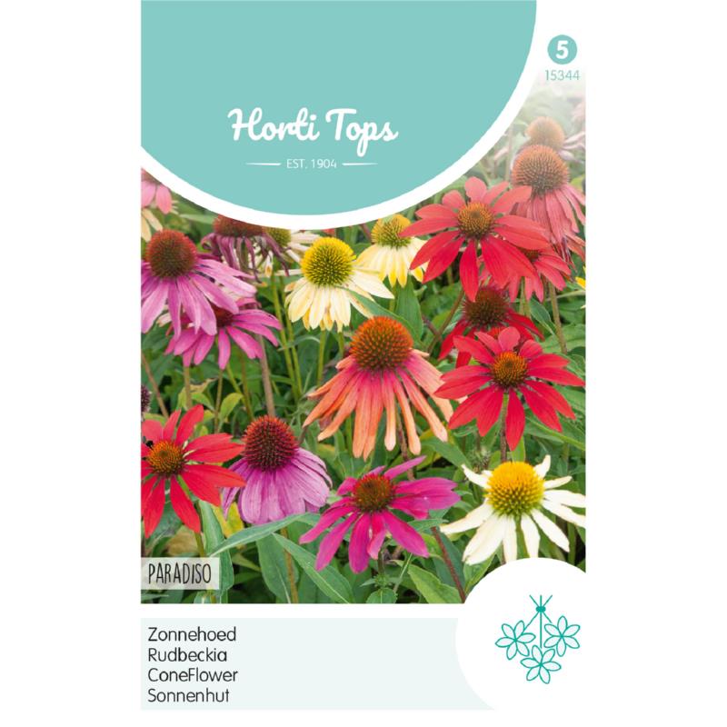HT Echinacea, Zonnehoed Paradiso