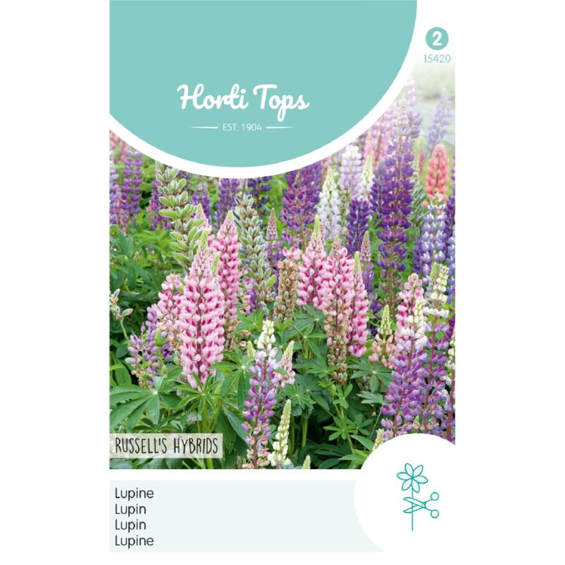 HT Lupinus, Lupine Russell's Hybrids gemengd
