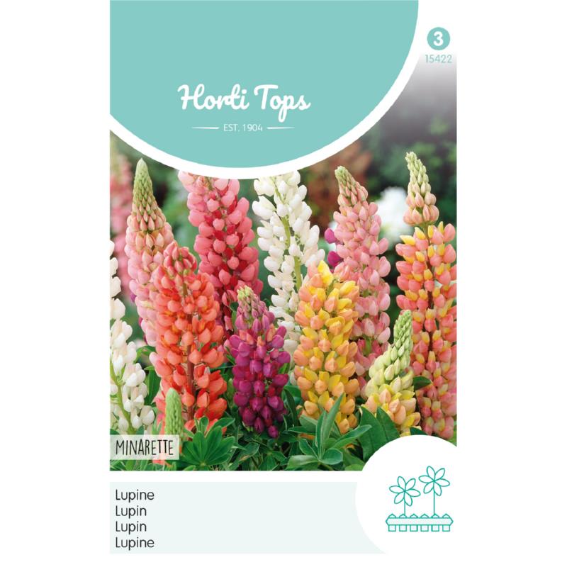 HT Lupinus, Lupine Minarette gemengd