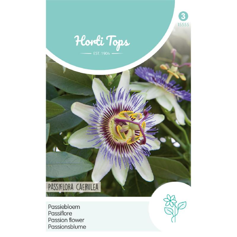 HT Passiflora, Passiebloem