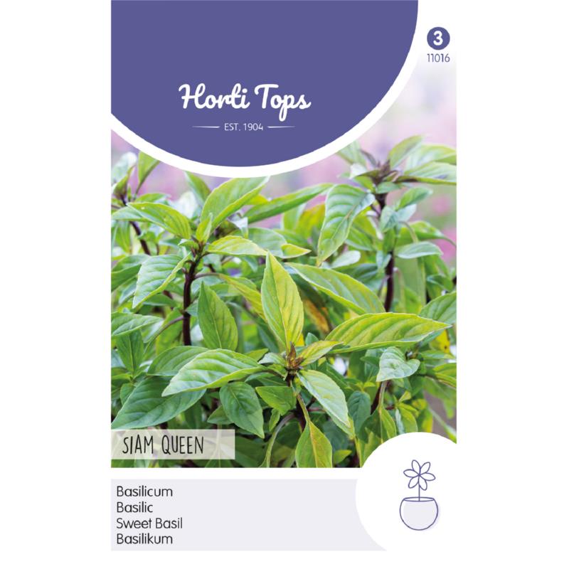 Horti Tops® Sweet Basil Siam Queen