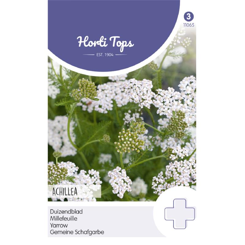 Horti Tops® Yarrow - Achillea Millefolium