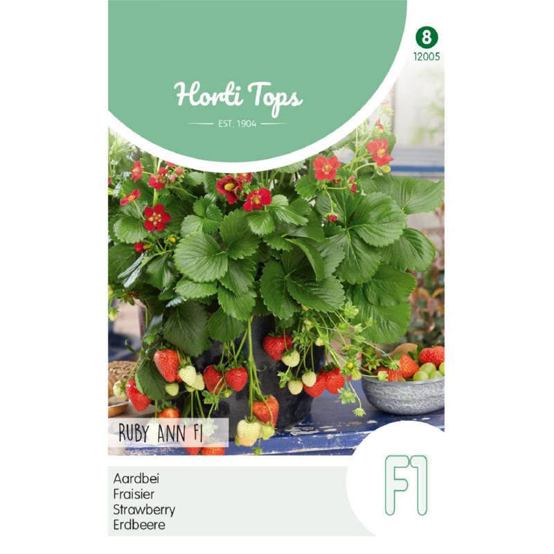 HT Aardbeien Ruby Ann F1 (hangaardbei)