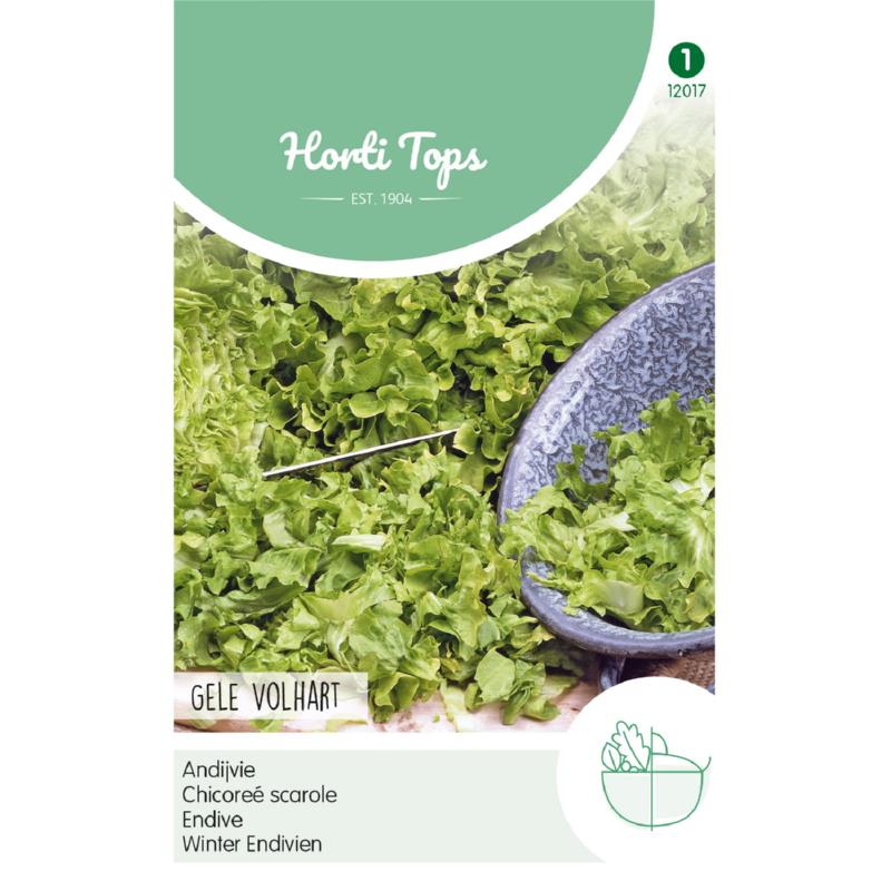 Horti Tops® Endive Blonde à coeur plein
