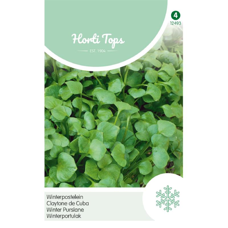 Horti Tops® Winter Purslane