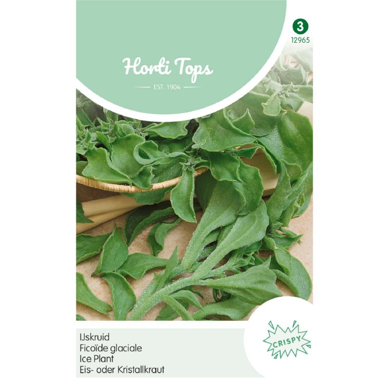 Horti Tops® Ice Plant