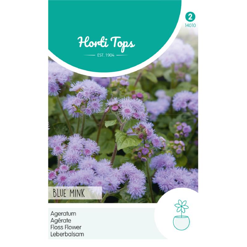 Horti Tops® Ageratum Houstonianum Blue Mink
