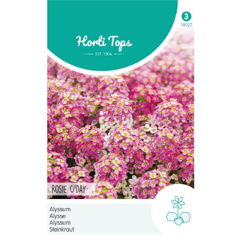 Horti Tops® Alyssum Rosie O'Day